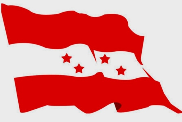 2028nepali-congress-flag